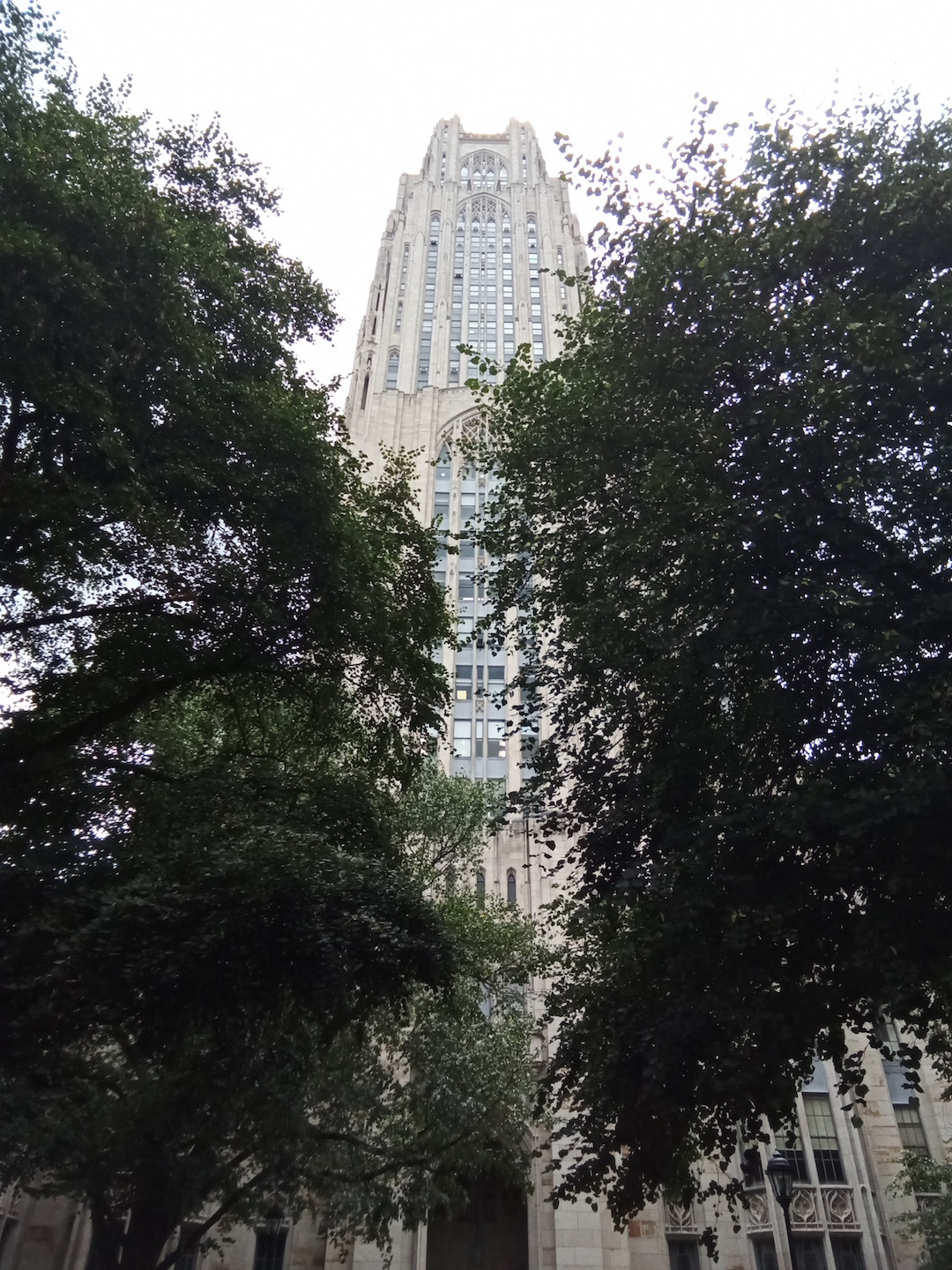 Two large trees in front of the Cathedral of Learning, an educational building at the University of Pittsburgh.