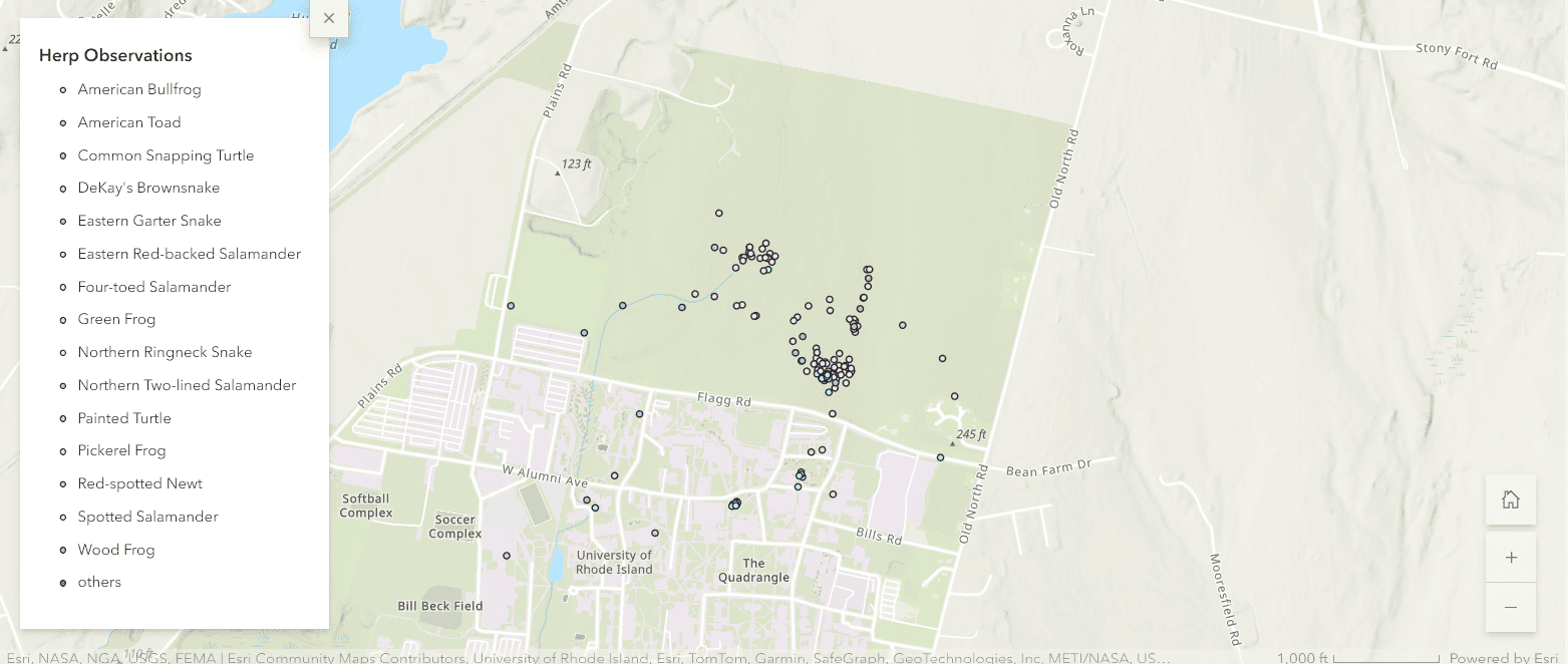 An Esri map image displaying a street view of the North Woods and part campus. Dots indiciate animal sightings.