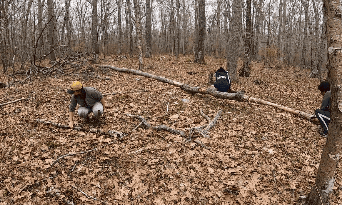 Three students are spread out in a sparsely wooded area in the North Woods examining fallen logs.