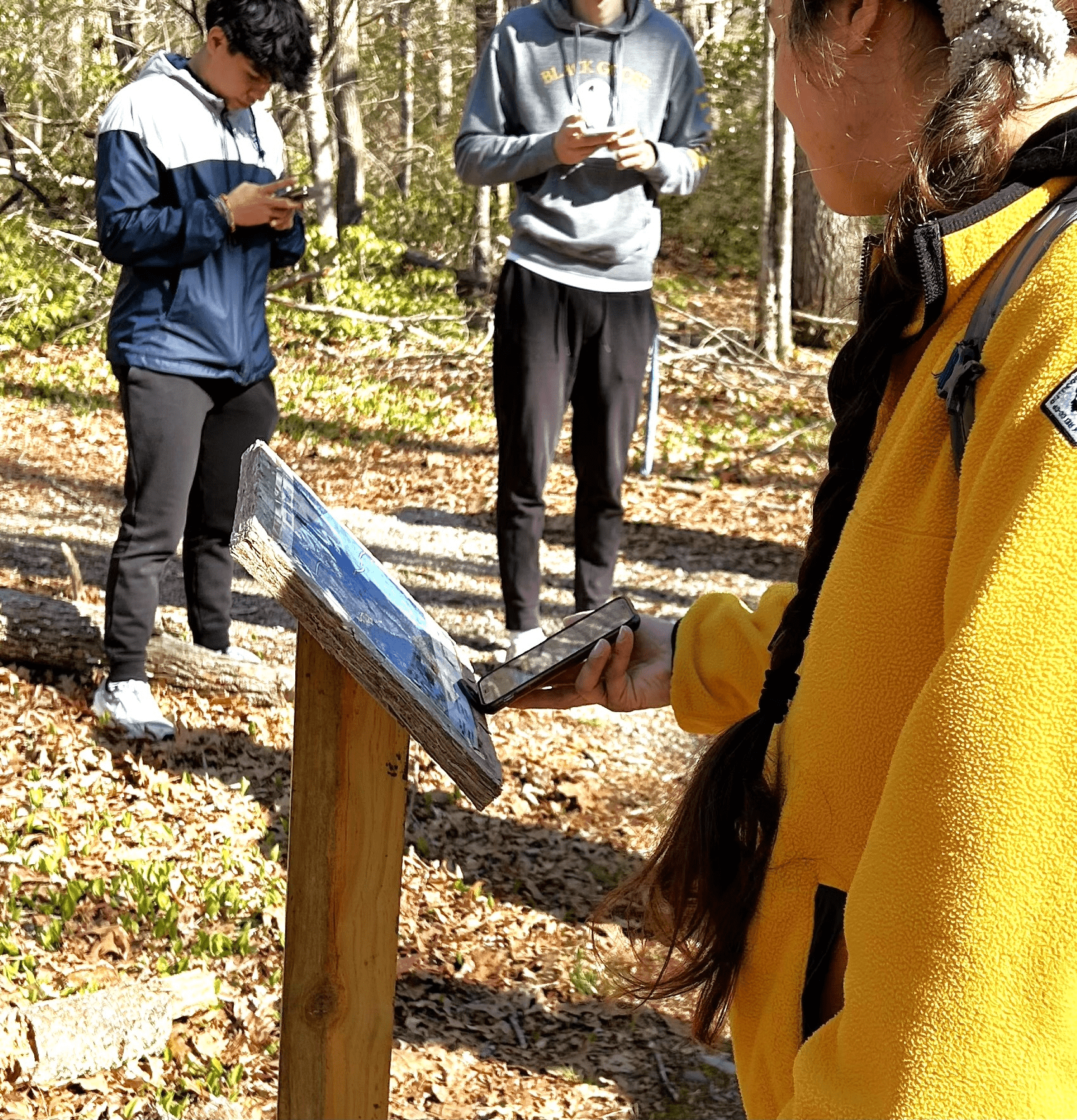 a student presses their mobile phone against a NFC chip attached to a trail map.